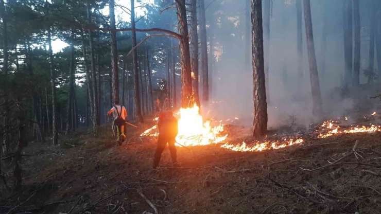 Örtü Yangını Paniğe Yol Açtı