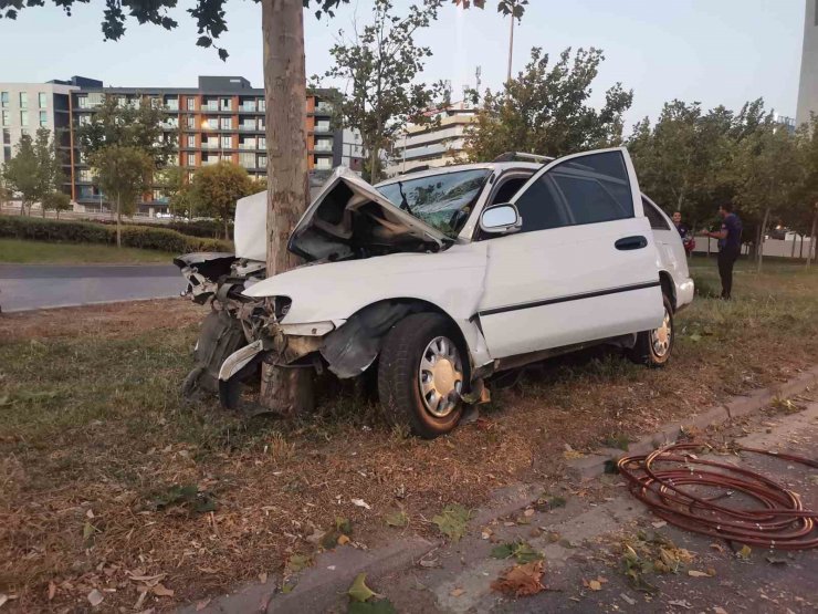 Satılık Araçla Ağaca Çarpan Sürücü Hayatını Kaybetti