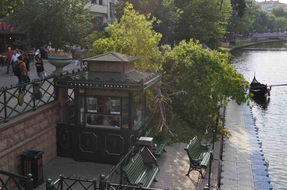 Ağaç Devrildi, 3’ü Çocuk 11 Kişi Altında Kaldı