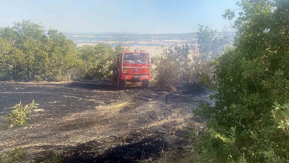 Yangında Hayvanlar Da Zarar Gördü