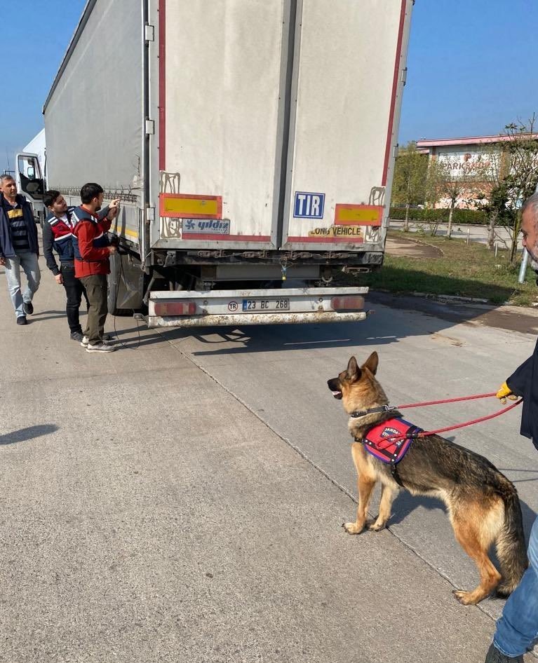 8 Göçmen Kaçakçılığı Organizatörü Tutuklandı