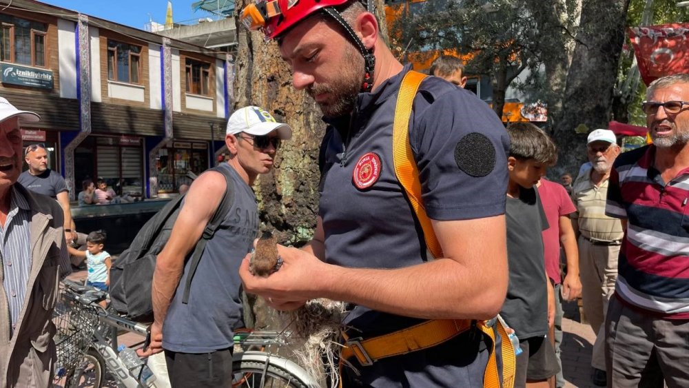 Kuş İtfaiye Ekipleri Tarafından Kurtarıldı