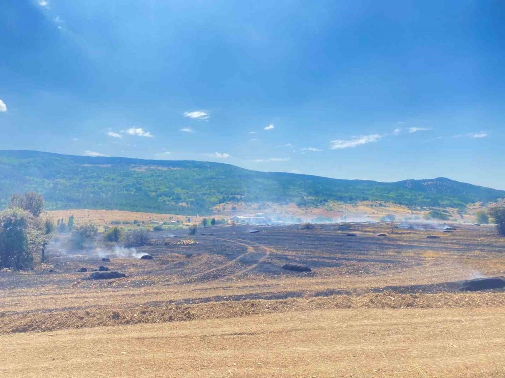 Kıvılcım 90 Dönüm Tarlayı Yaktı