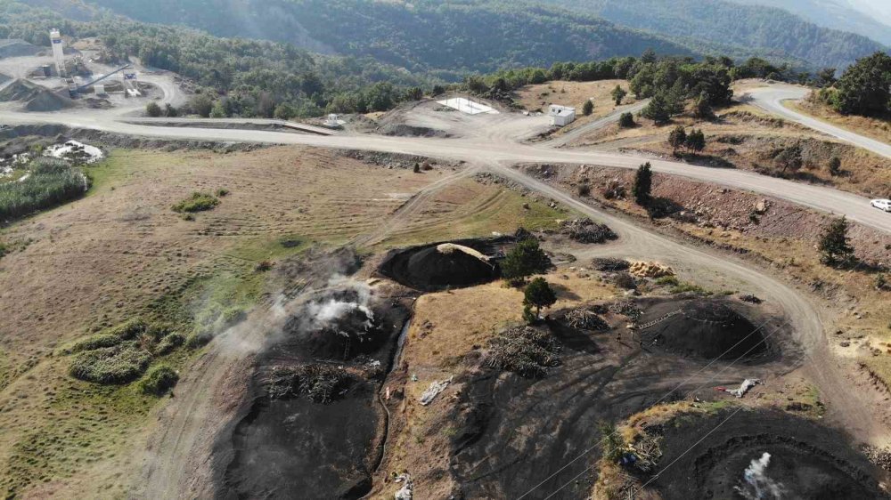 Odun Öbeklerinin Karşısından Günlerce Süren Kömür Nöbeti