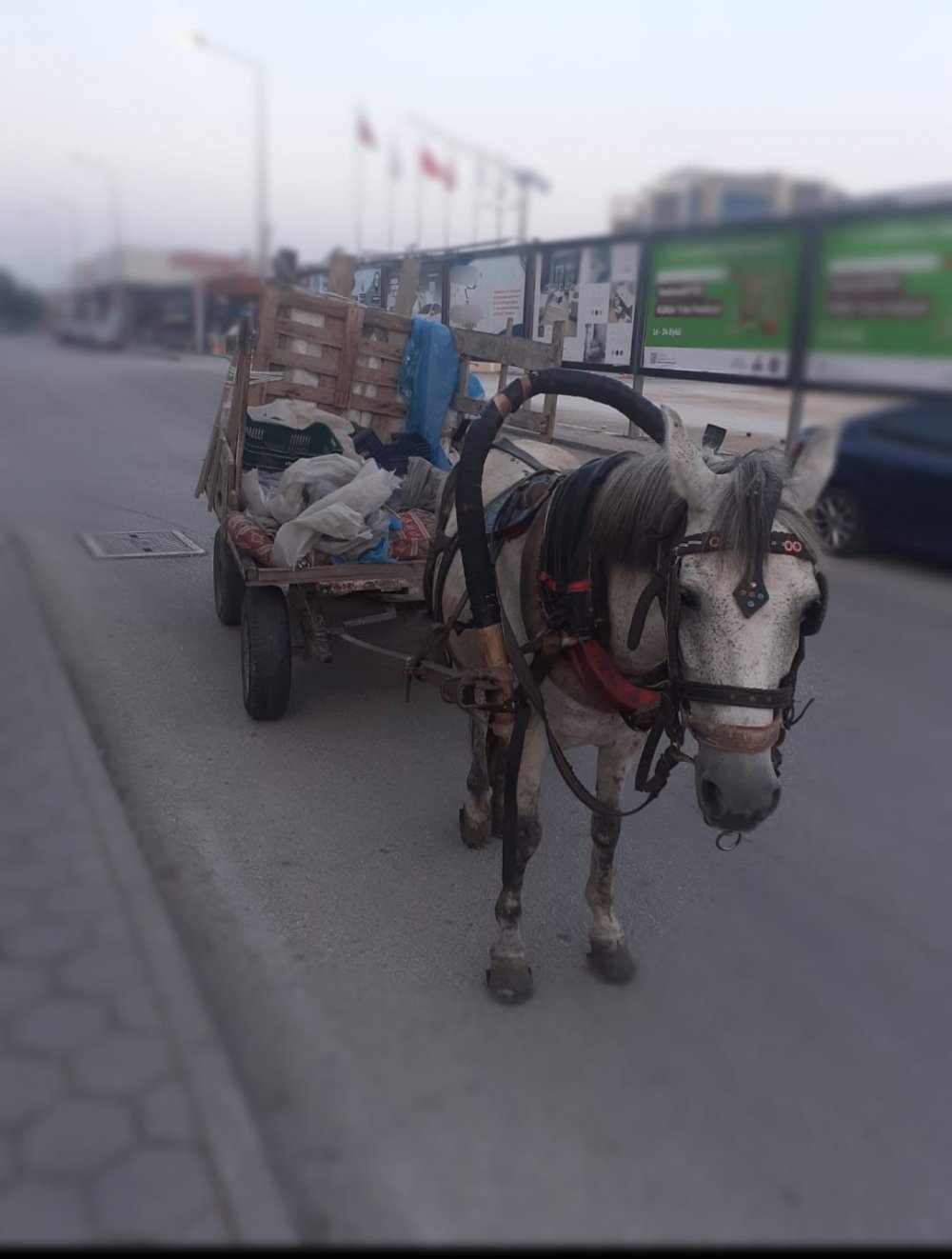 Malzemelere Polis El Koydu