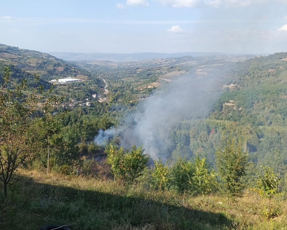 Dumandan Zehirlenerek Hayatını Kaybetti