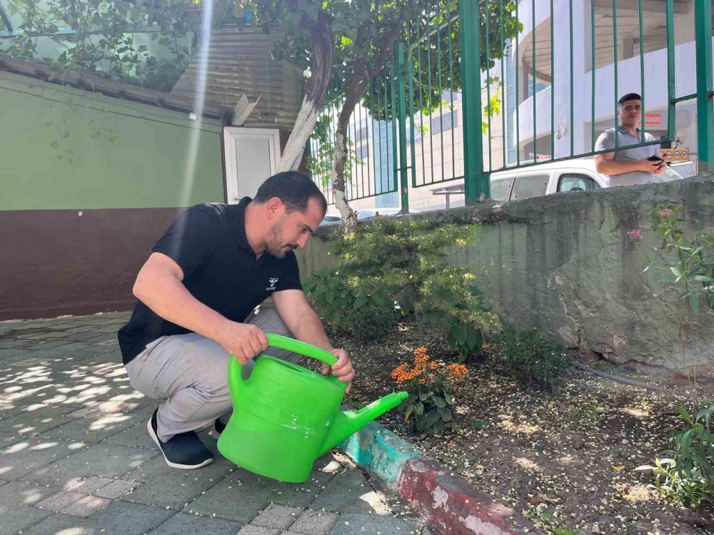 Sarmaşıkla Sarılı Cami Kuşlara Yuva Oluyor