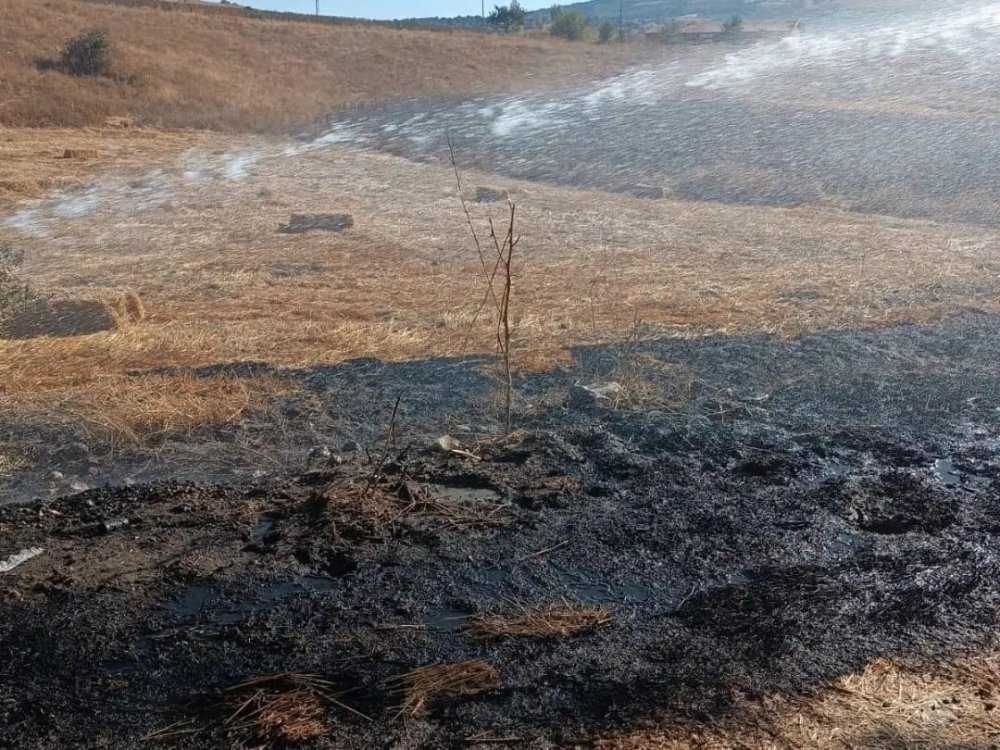 Anız Yangını Büyümeden Söndürüldü