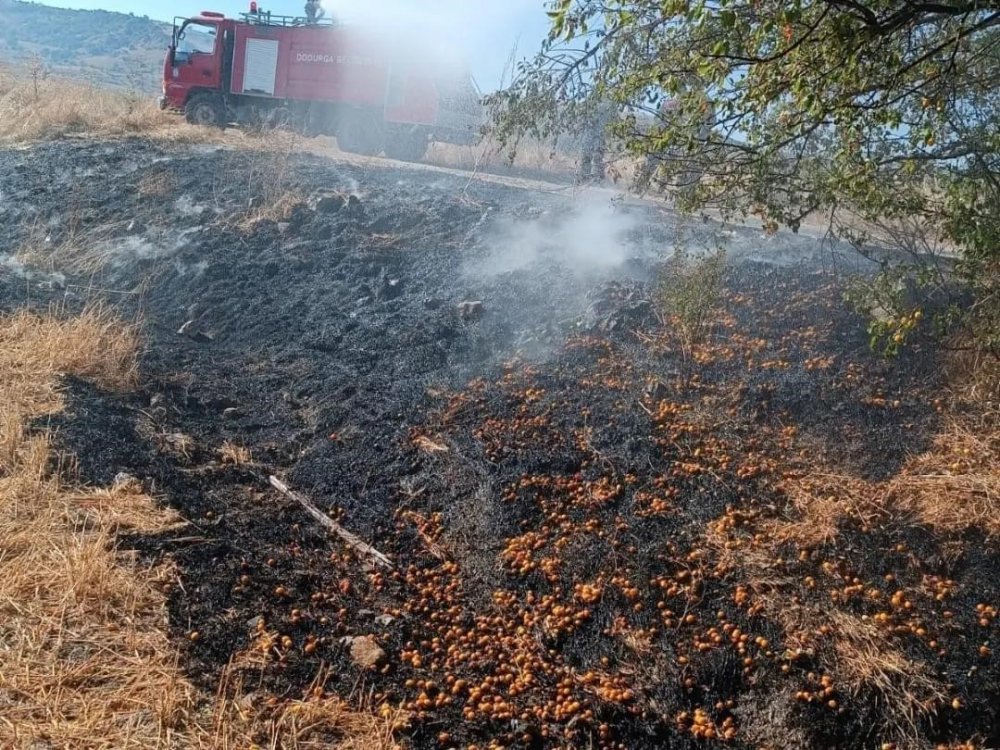 Anız Yangını Büyümeden Söndürüldü