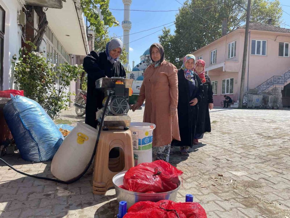 Meralar Koruma Altında