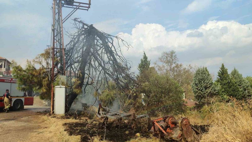 Trafo Patladı, Ağaçlar Ve Otluk Alan Alev Aldı