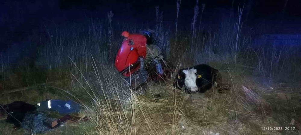 Tır Park Halindeki Traktörü Biçti: 2 Ölü, 1 Yaralı