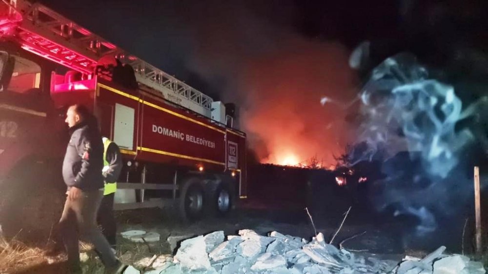 20 Büyükbaş Hayvan Yanmaktan Son Anda Kurtarıldı