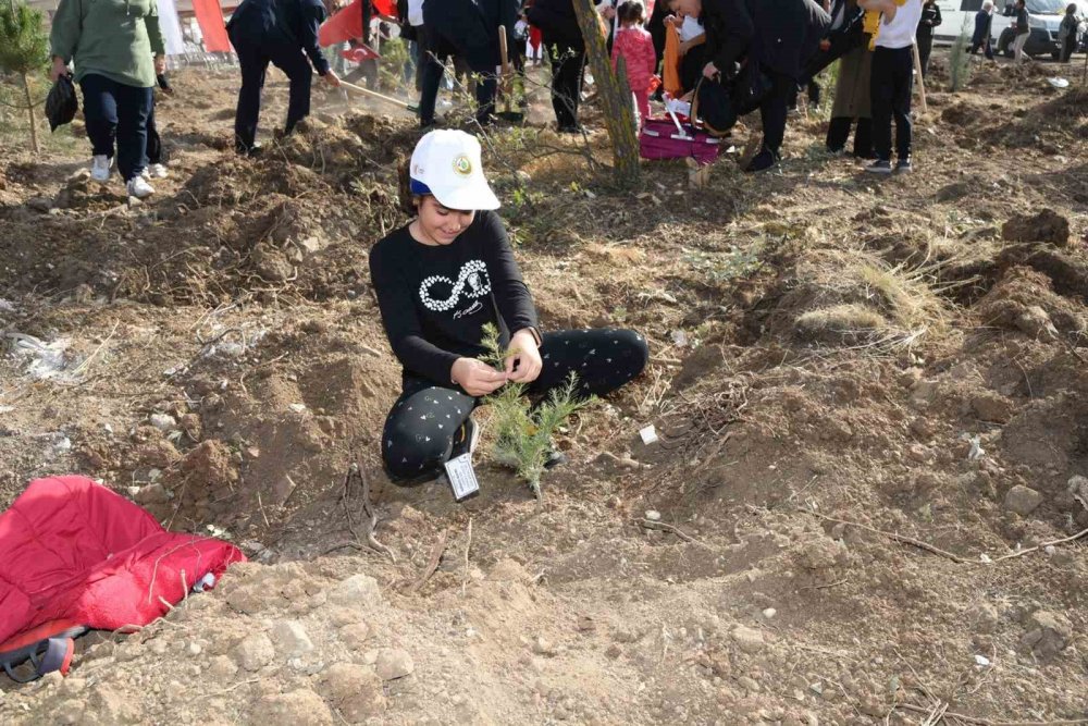 'Cumhuriyetimizin 100’üncü Yılı Hatıra Ormanı’ Kuruldu