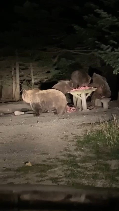 Mekanları Basınca, Mekan Sahipleri Onlara Böyle Ziyafet Çekti