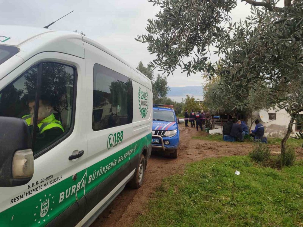 Yalnız Yaşadığı Barakada Ölü Bulundu