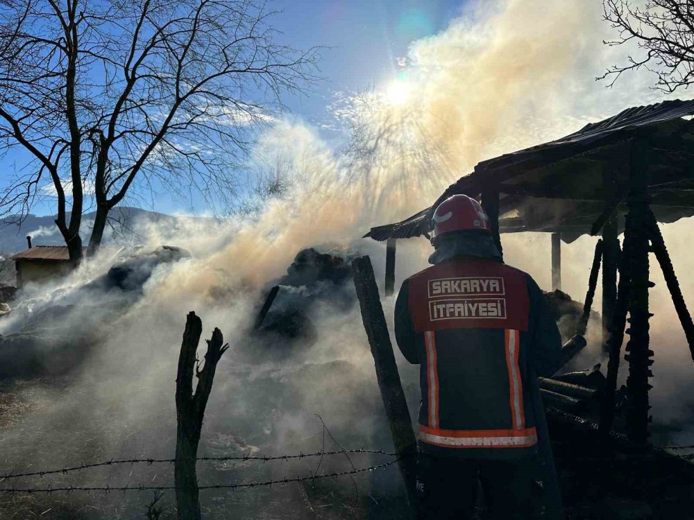 Samanlık Alev Topuna Döndü