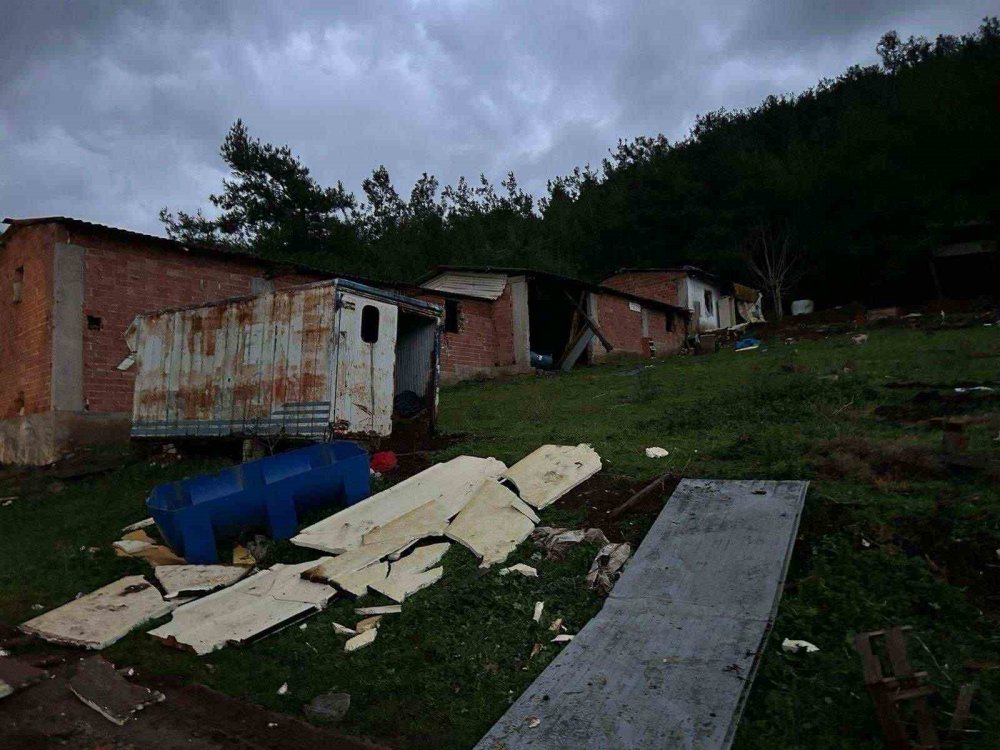 Bağ Evi Hırsızları Jandarma Tarafından Yakalandı