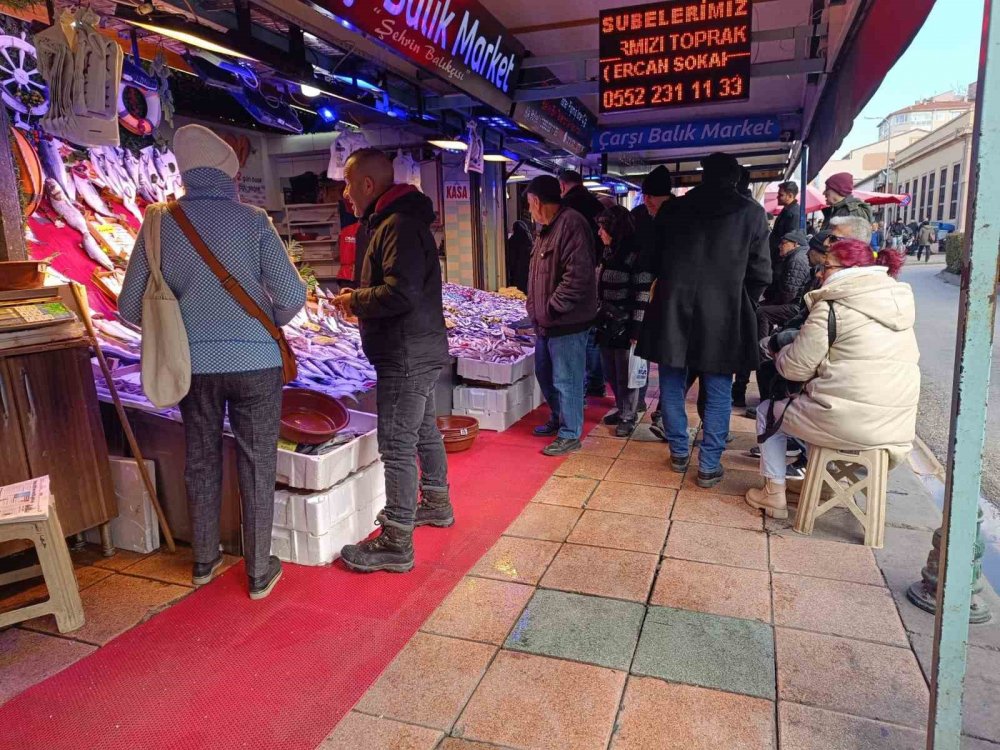 Balıkçılarda En Çok Hamsi Ve Palamut Tercih Ediliyor