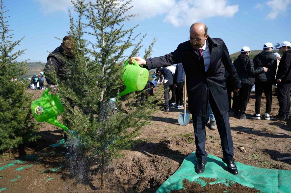 Dünya Ormancılık Günü’nde Çocuklar Bin Fidan Dikti