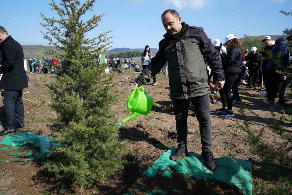 Dünya Ormancılık Günü’nde Çocuklar Bin Fidan Dikti