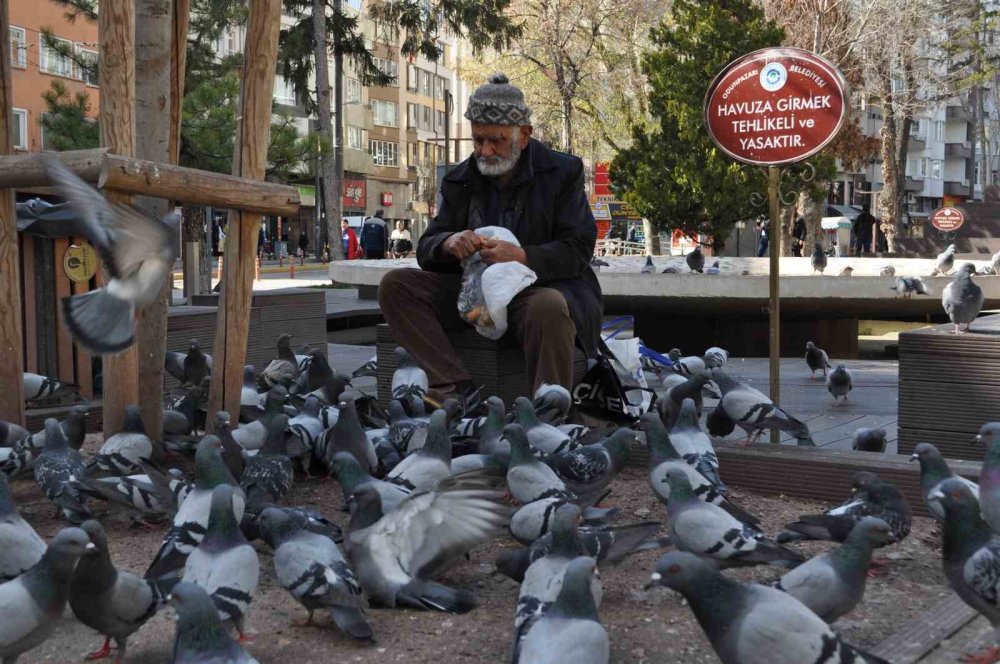 Sokaktaki Kuşları Yıllardır Büyük Bir Özenle Besliyor