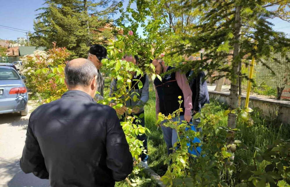 Çiftçilere Uygulamalı Budama Ve Aşılama Eğitimi