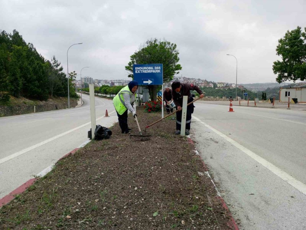 Bilecik’te İlaçlama Çalışmaları Belirli Aralıklarla Devam Ediyor