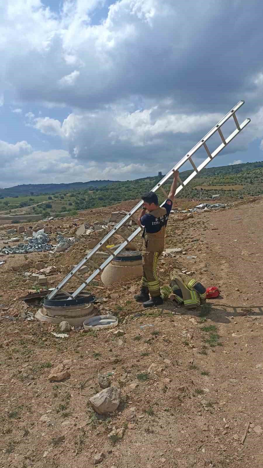 Kapağı Açık Rögara Düşen Küçükbaş Hayvanı İtfaiye Kurtardı