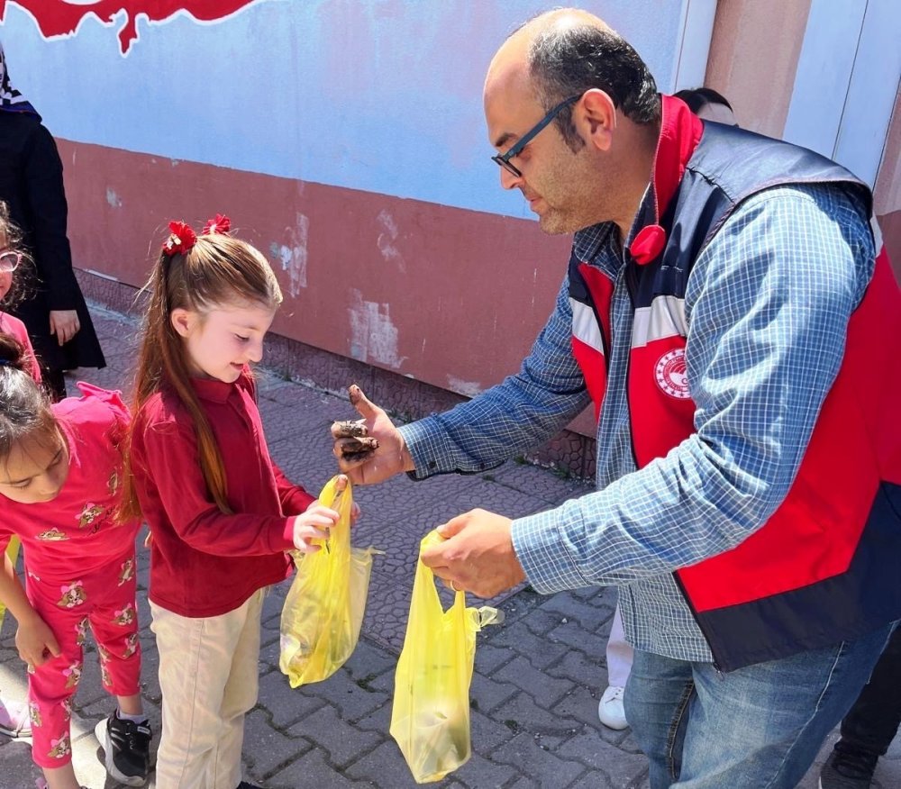 İlkokul Öğrencilerine 300 Adet Sebze Fidesi Dağıtıldı