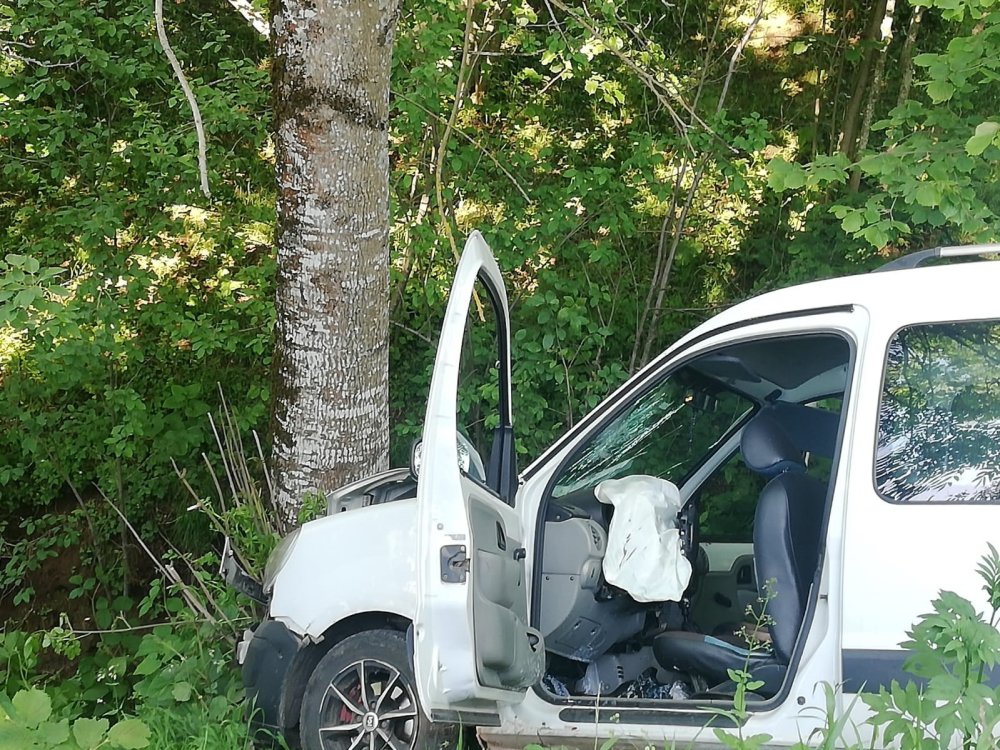 Kontrolden Çıkan Hafif Ticari Araç Ağaçlık Alana Devrildi: 2 Yaralı