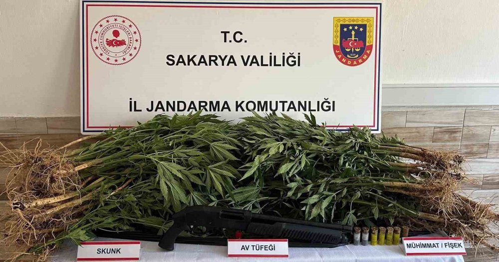 Jandarma Uyuşturucuya Geçit Vermiyor