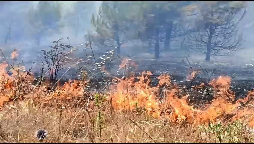 Anız Yangını, Ormana Sıçramadan Kontrol Altına Alındı