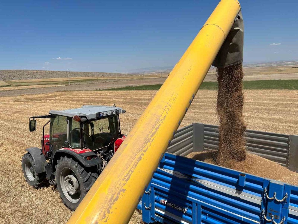 Çiftçi Dönümden 300 Kilogram Buğday Aldı