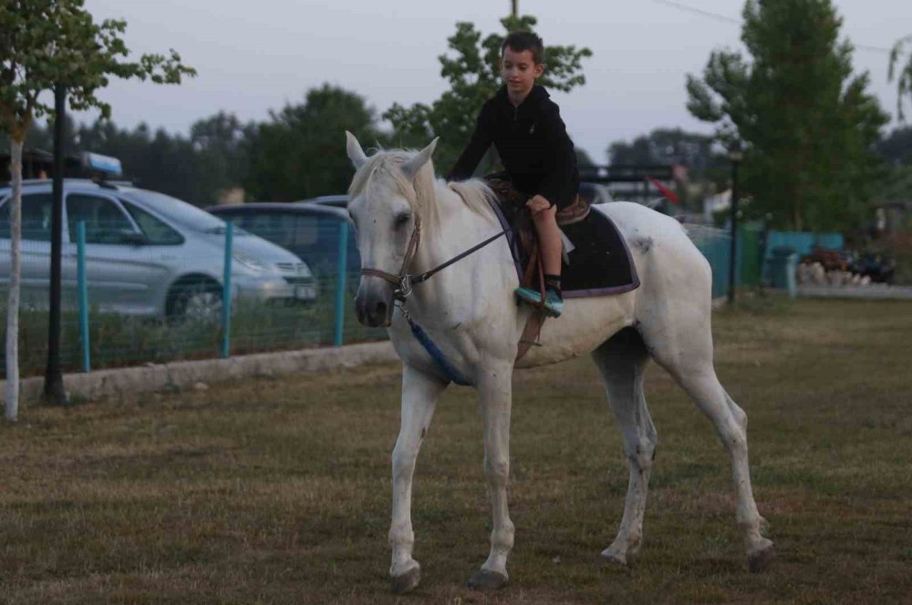 Şehrin Sıcağından Bunalanlar ‘Doğal Klima’ Gököz’ü Tercih Ediyor