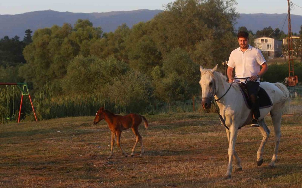 Şehrin Sıcağından Bunalanlar ‘Doğal Klima’ Gököz’ü Tercih Ediyor