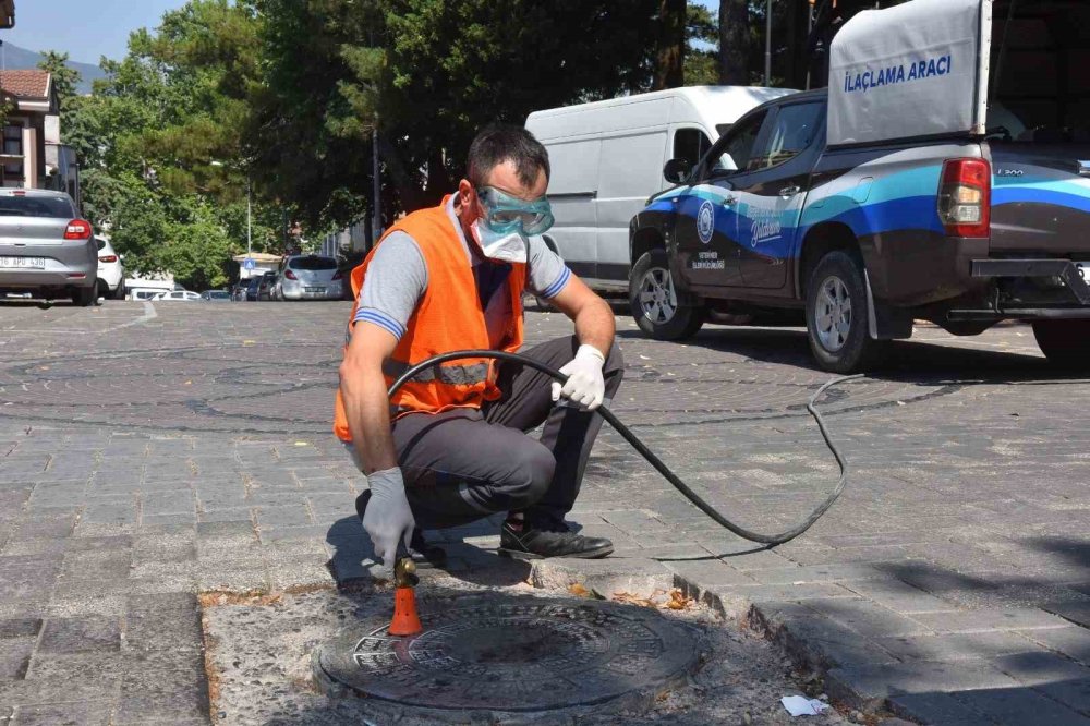 İlaçlama Çalışmaları Devam Ediyor