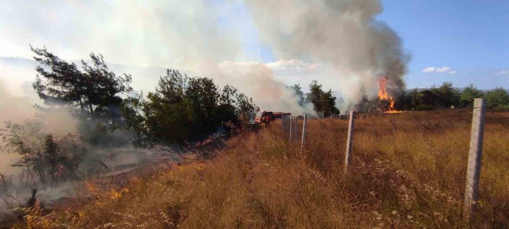 20 Dönümlük Buğday Tarlası Kül Oldu