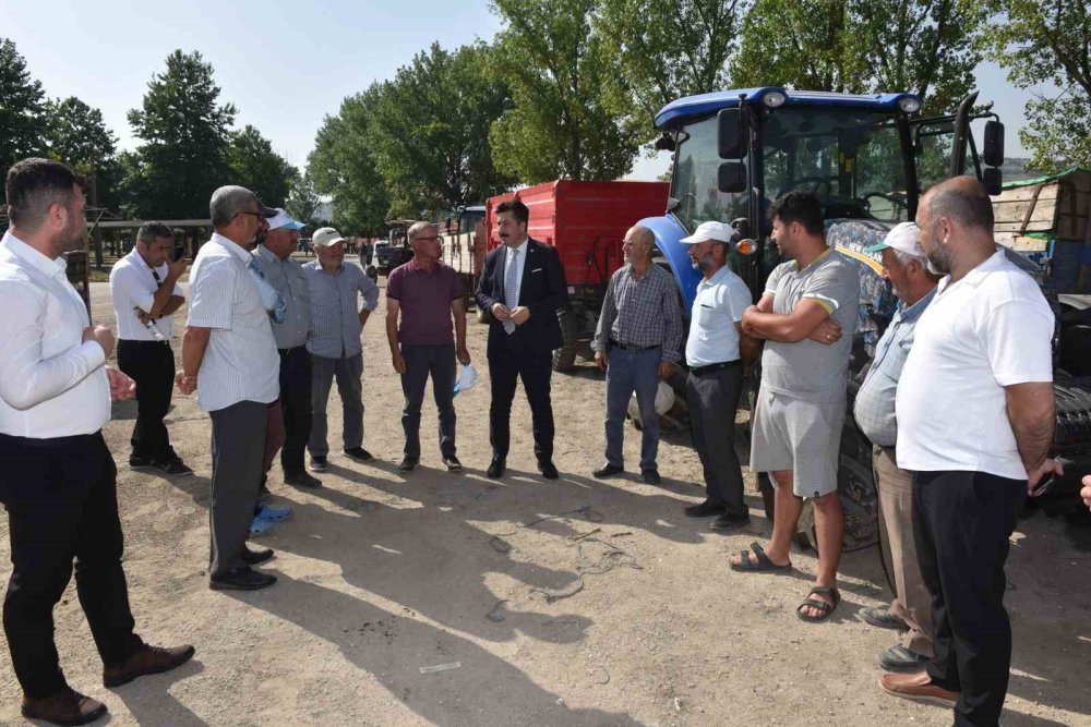 Tmo Buğday Ve Arpa Alımına Başladı