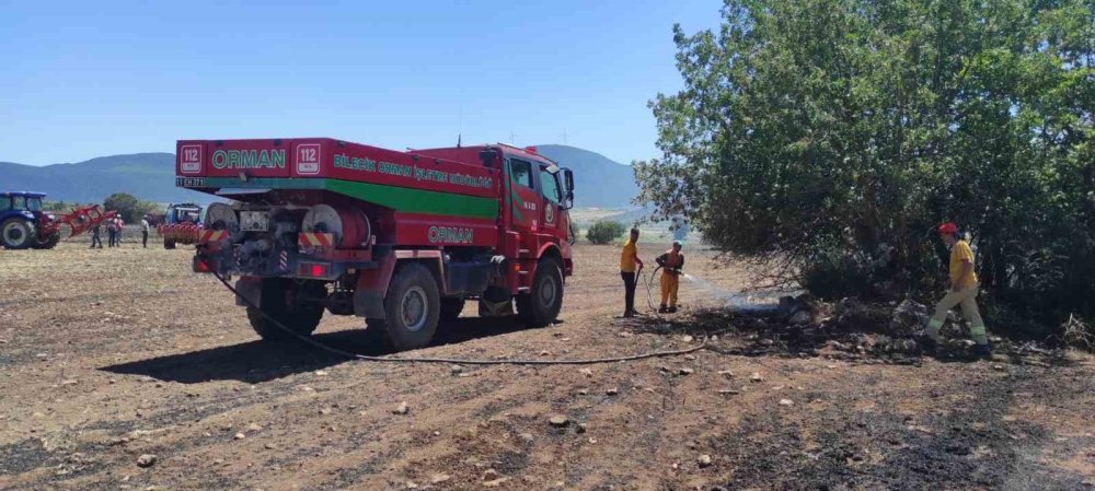 Bilecik'te anız yangını