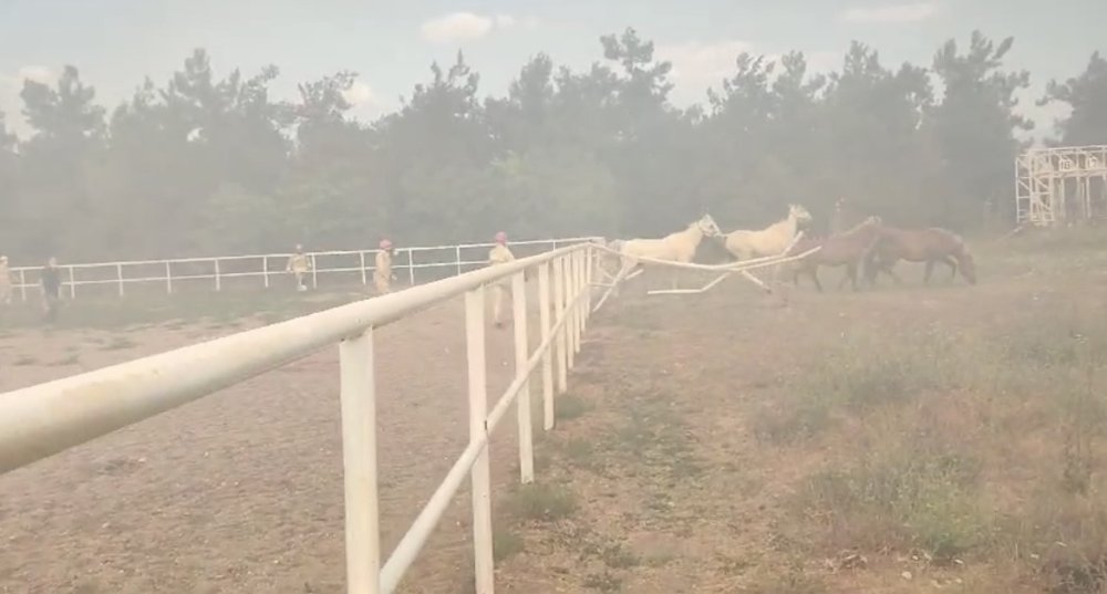 Çıkan Yangında Atlar Tahliye Edildi