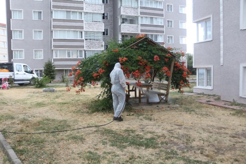 Havaların Isınmasıyla İlaçlama Çalışmalarına Hız Verildi