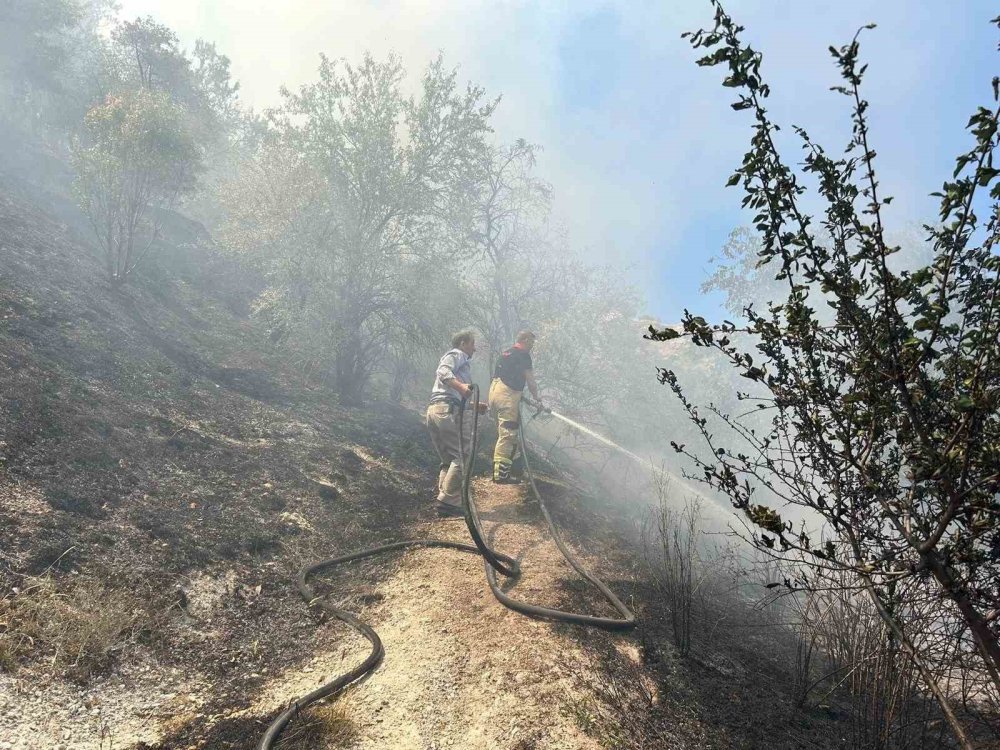 Hisar Kalesi’nde Yangın