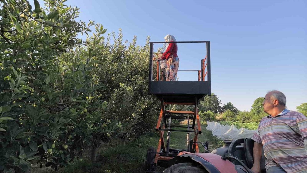 Tasarladığı Asansör Sistemiyle Hasat Süresini Yüzde 40 Azalttı