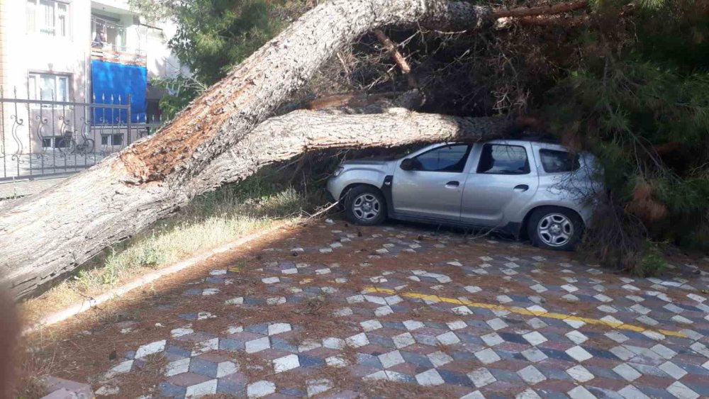 Faciadan Kıl Payı Kurtuldu