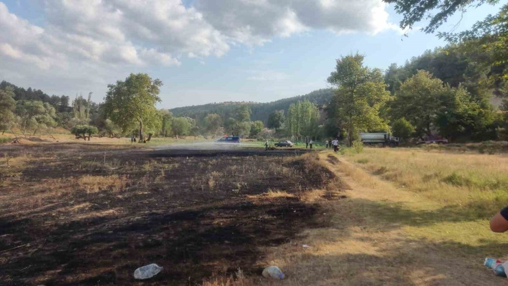 Mangal Ateşinden Çıkan Yangından 2 Dönüm Ekili Alan Zarar Gördü