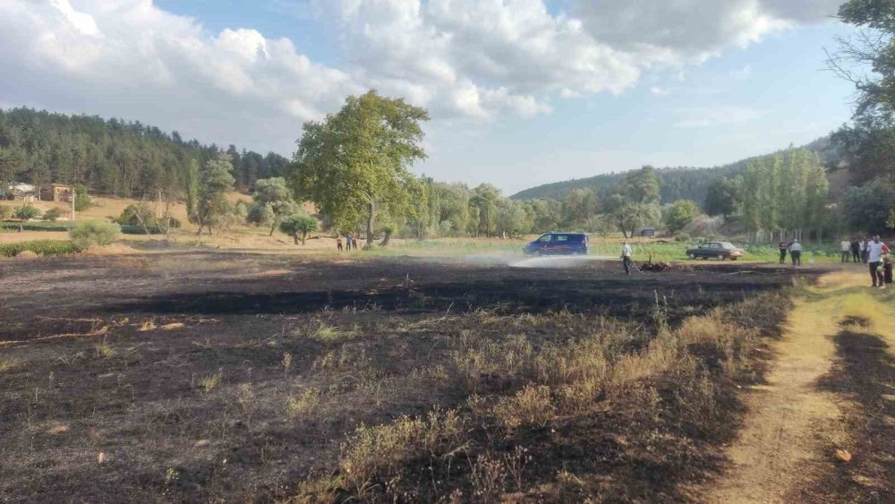 Mangal Ateşinden Çıkan Yangından 2 Dönüm Ekili Alan Zarar Gördü