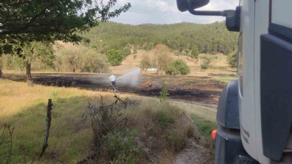 Mangal Ateşinden Çıkan Yangından 2 Dönüm Ekili Alan Zarar Gördü