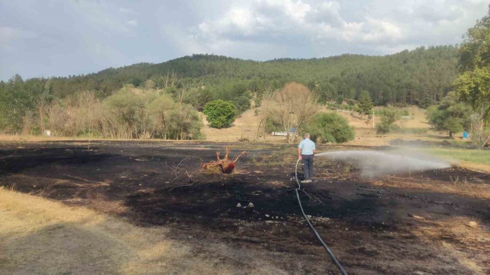 Mangal Ateşinden Çıkan Yangından 2 Dönüm Ekili Alan Zarar Gördü