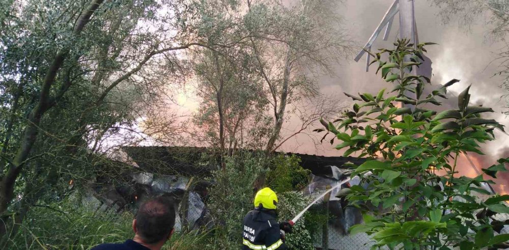 Soğuk Hava Deposunda Çıkan Yangın Kontrol Altına Alındı